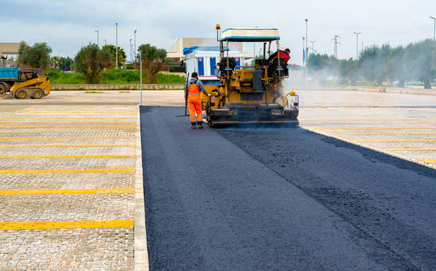 Best Decorative Driveway Pavers  in Lakeville, MN